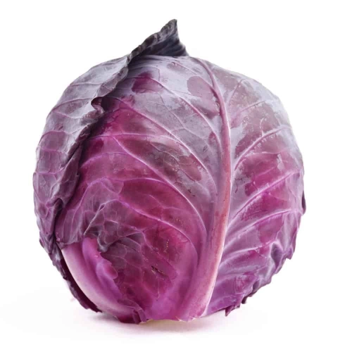 Repolho Roxo Un