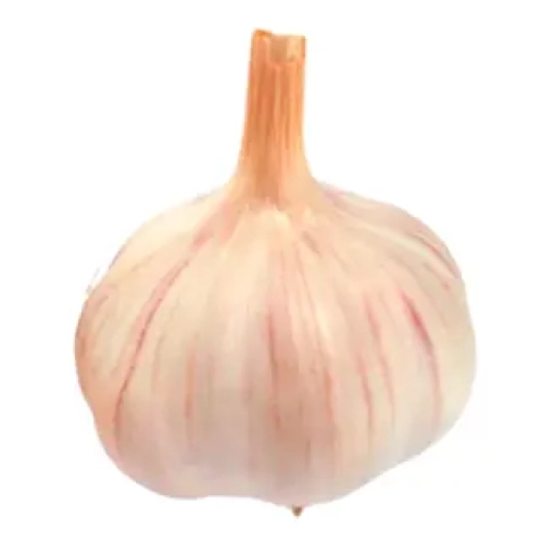 Alho Un